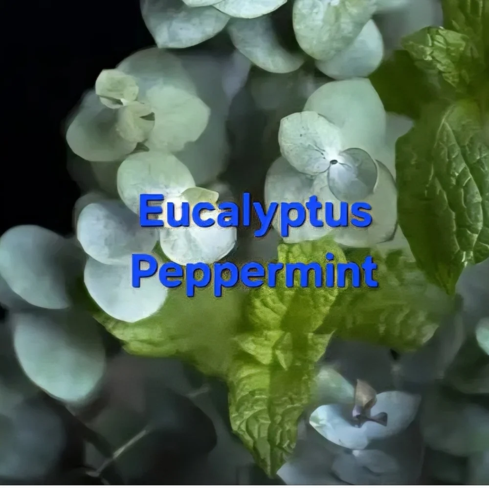 LAST ONE!   Hand Crafted Foot Balm 2oz Tin Assorted Scents - Picture 7 of 16